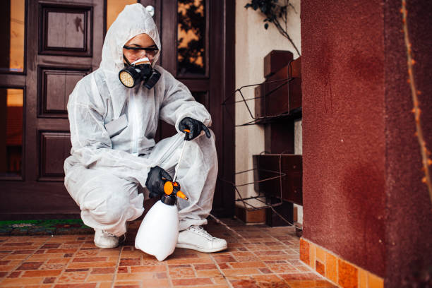 Reliable Wasp Removal contractor in Bliss Corner, MA by Show Me Pest Control