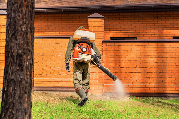 Top rated local Wasp Removal specialists in Bliss Corner, MA
